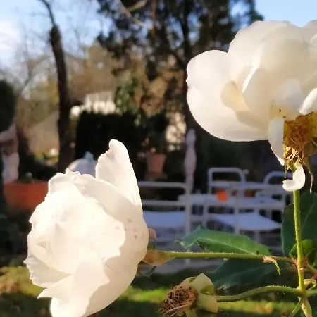 Apartmán Design -garden & Comfort