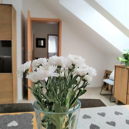 Design -garden & Comfort * Bratislava