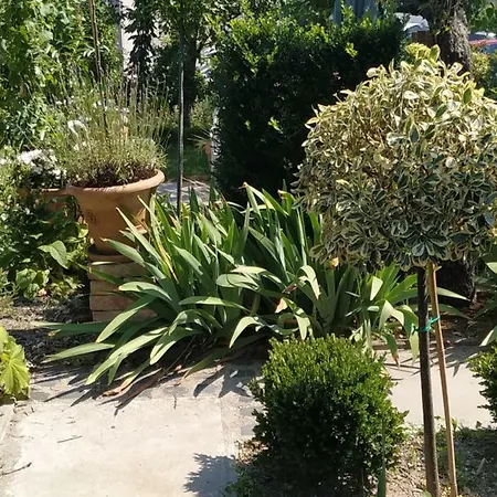 Apartmán Design -garden & Comfort *