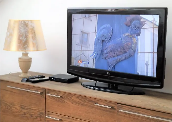 Design -garden & Comfort *