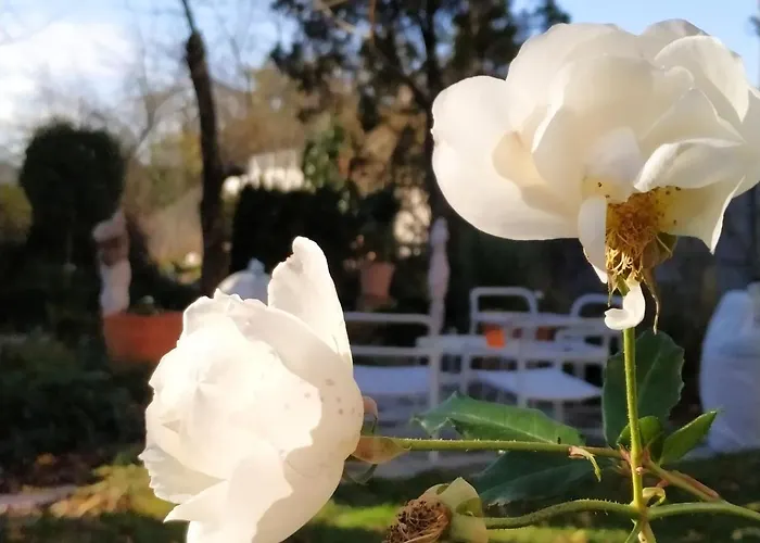 Appartement Design -garden & Comfort