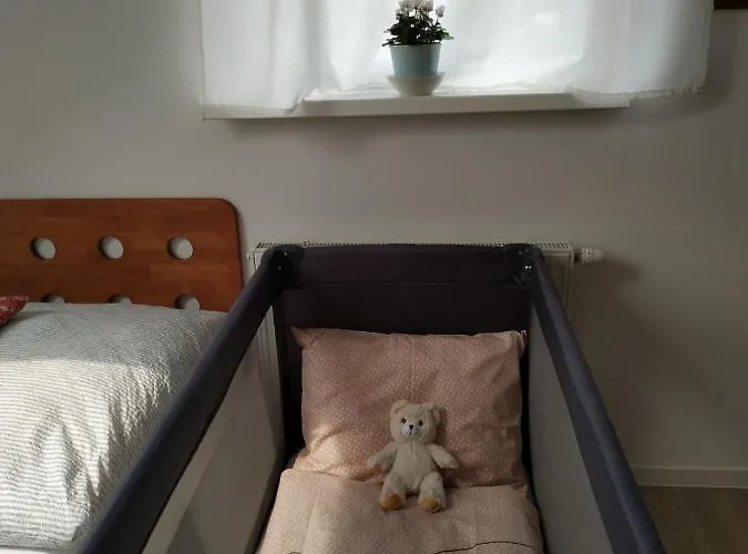 Apartment Design -garden & Comfort