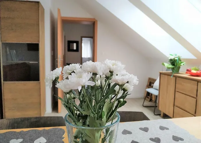 Design -garden & Comfort * Bratislava