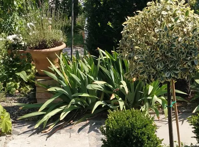 Appartement Design -garden & Comfort *