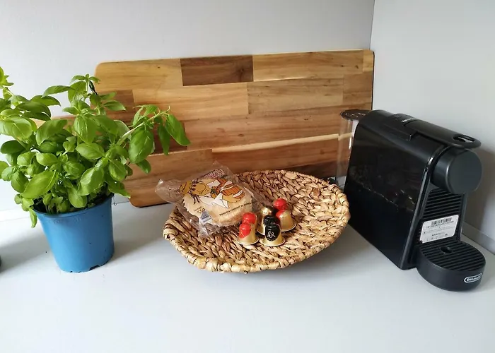 Design -garden&comfort