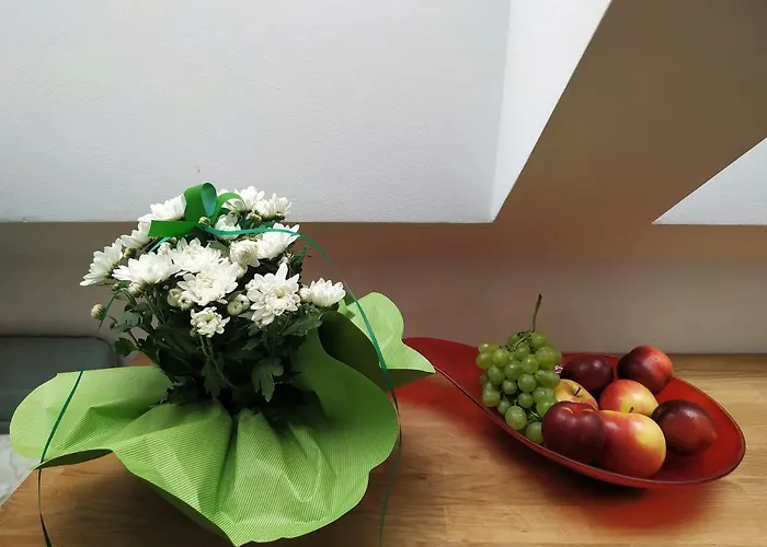 Design -garden&comfort Lejlighed Bratislava