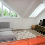 Design -garden & Comfort *