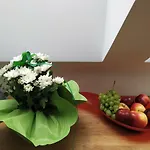 Design -garden & Comfort Apartment Bratislava