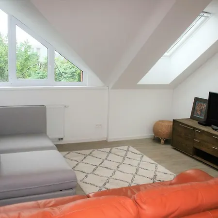 Design -garden & Comfort *