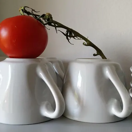 Apartament Design -garden & Comfort *