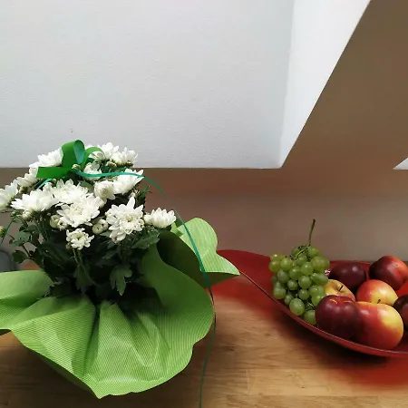 Design -garden & Comfort Apartament Bratysława