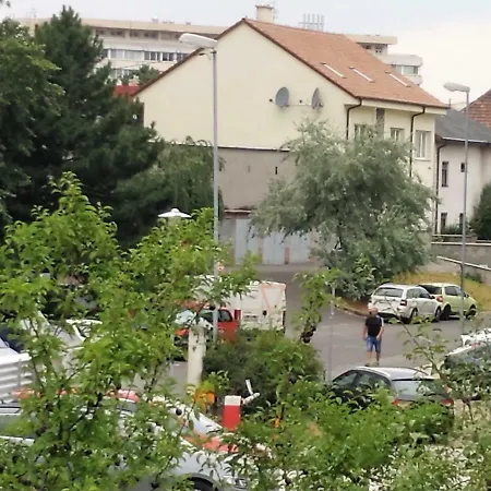 Apartment Design -garden & Comfort