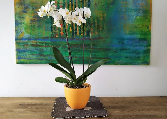 Design -garden & Comfort ブラチスラヴァ