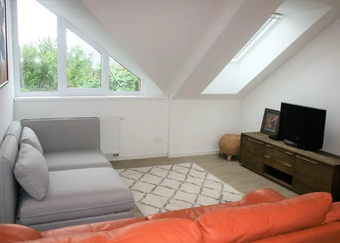 Design -garden & Comfort *