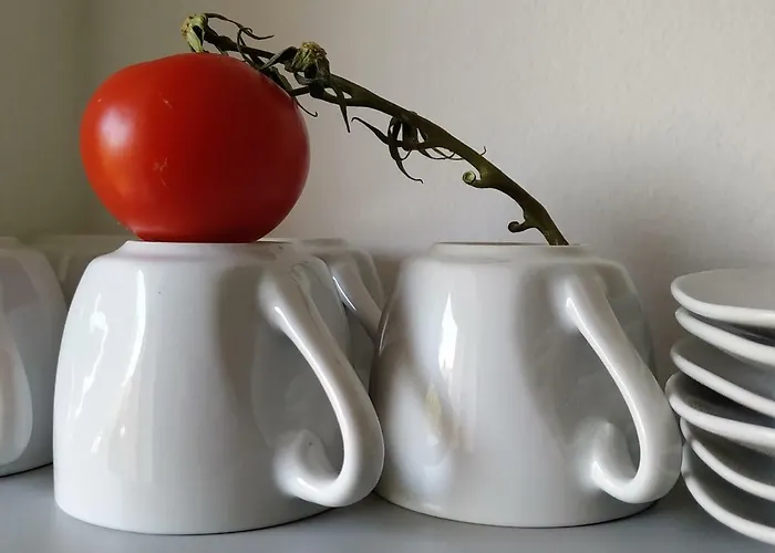 アパート Design -garden & Comfort *